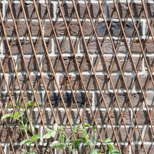 Natural Lattice Willow Trellis Fence for Climbing Plants (4 Count)