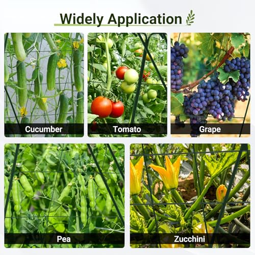 Cucumber Trellis for Garden 48" L x 16" W (48" L x 16" W)