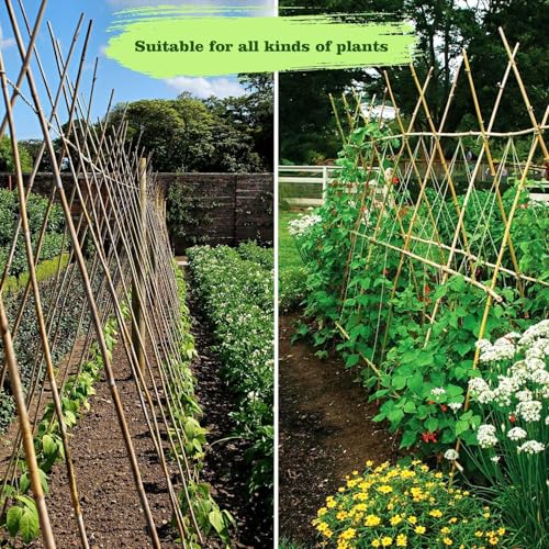 1 2" D 4.75 Feet Bamboo Stakes 50 Pack (50 Count)