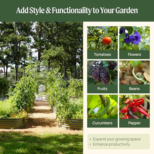 Modular Arched 2.0' Long Trellis System for 2.0‘ x 4.0' or 4.0' x 8.0' or 2.5' x 9.5' Garden Bed for Climbing Plants Like Cucumber Beans Tomatoes & Vines