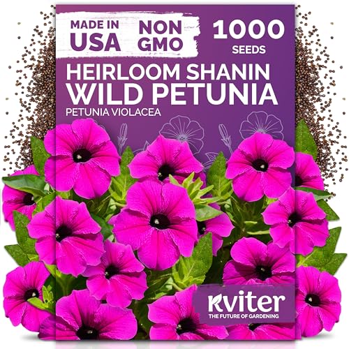 2 000 Shanin Wild Petunia Heirloom Flower Seeds