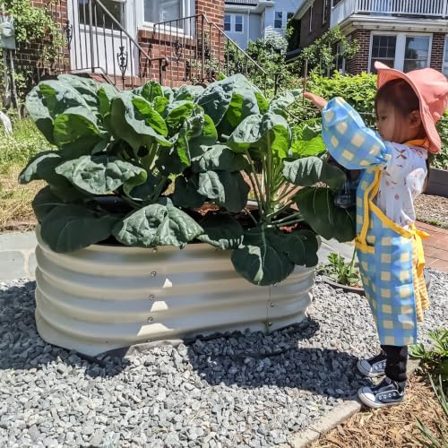 17" Tall Kids First Garden Bed 24" x 42" Raised Planter Box Outdoor Metal Galvanized Gardening Bed for Vegetables Herb & Flower (Pearl White / 24"(W) x 42"(L) x 17"(H))