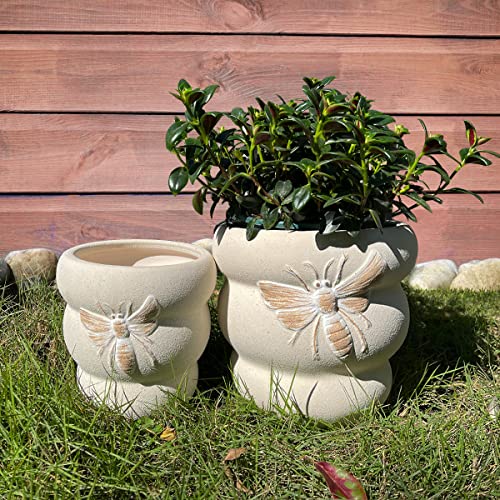 Ceramic Plant Pots (8+6 Inch / Terrabee Beige)