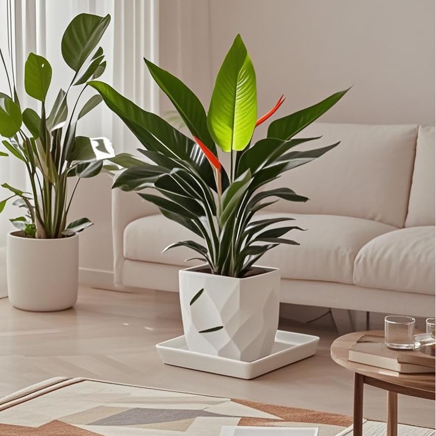 Square Ceramic Plant Saucer Tray 12 13 14 Inch White