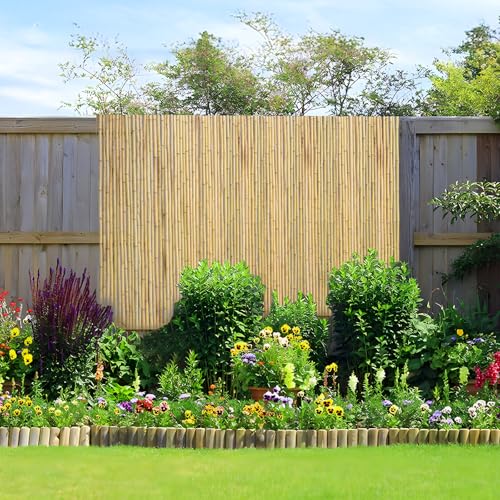 Natural Rolled Bamboo Fence (Rolled Fence / 6Ftx8Ft)