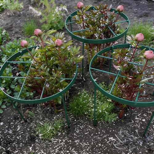 23.6" Plant Supports for Peonies (Green / 23.6"x18.9")