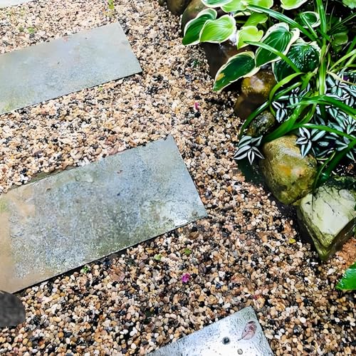 Pea Gravel for Fish Tank