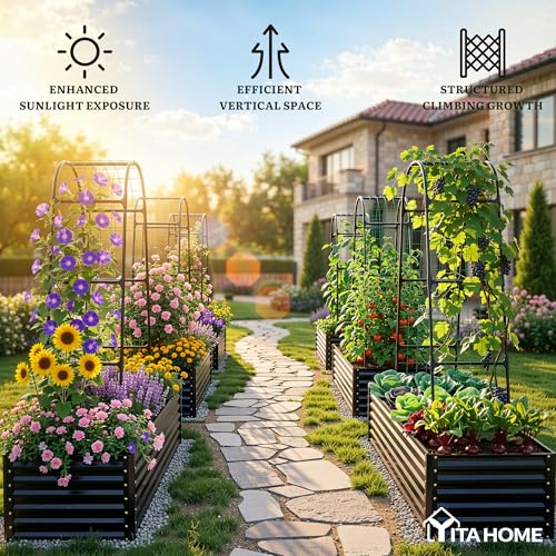 6x3x2ft Galvanized Raised Garden Bed with Tall Arch Trellis (Black / 6x3x2ft W/ Trellis)