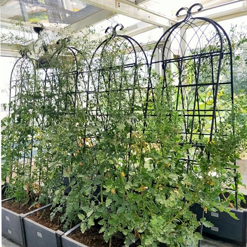 8 Pack Metal Garden Trellis for Climbing Plants (Black D-71"H)