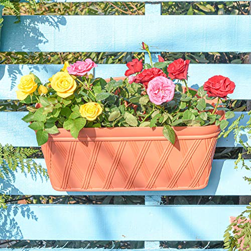 3 Pack Wall Hanging Planters (3 Count)