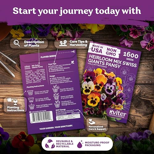 1 600 Swiss Giants Pansy Heirloom Flower Seeds