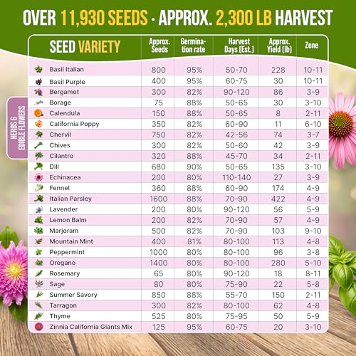 25 Culinary Herbs & Edible Flower Seed Variety Pack for Planting Indoor & Outdoors. 11900+ Non