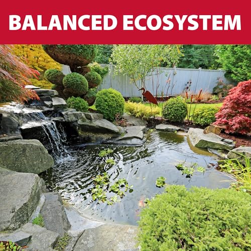 AllClear 8000 G3 & SolidFlo 3600 Pump Combo System (AllClear 8000 G3 & SolidFlo 3600)