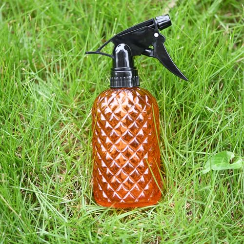Glass Handheld Spray Bottle