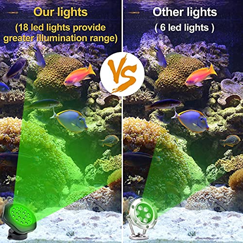Solar Pond Lights