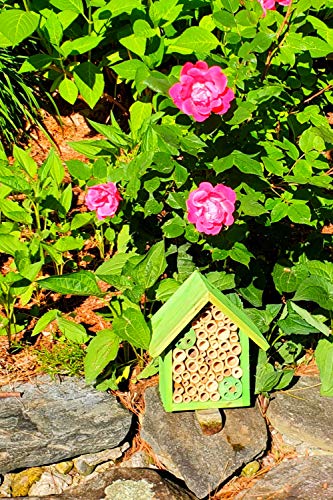 Mason Bee Houses and Supplies (Forest Green)