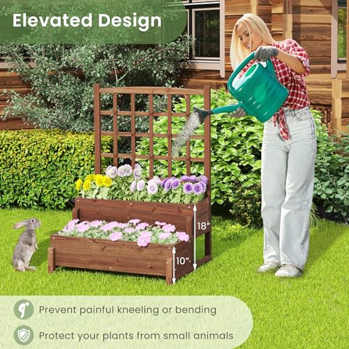 Raised Garden Bed with Trellis & Legs