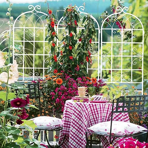 2 Pack Metal Garden Trellis 71" H Fence Rustproof Garden Trellis for Climbing Plants Support Roses Flower Outdoor Lawn (2 Count)