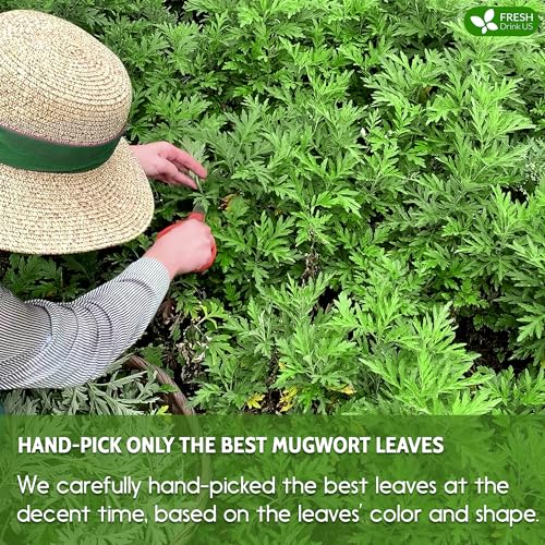 Premium 25 Mugwort Leaf Tea Bags (25 Tea Bags)