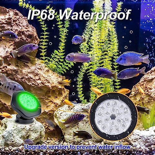Solar Pond Lights