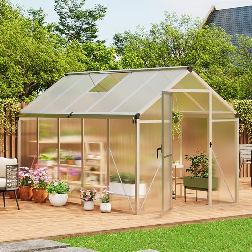 6 x 10 FT Greenhouse (Silver / 6x10FT)