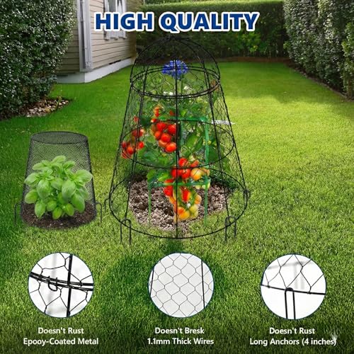 Garden Cloches for Plants (Set of 6+6)