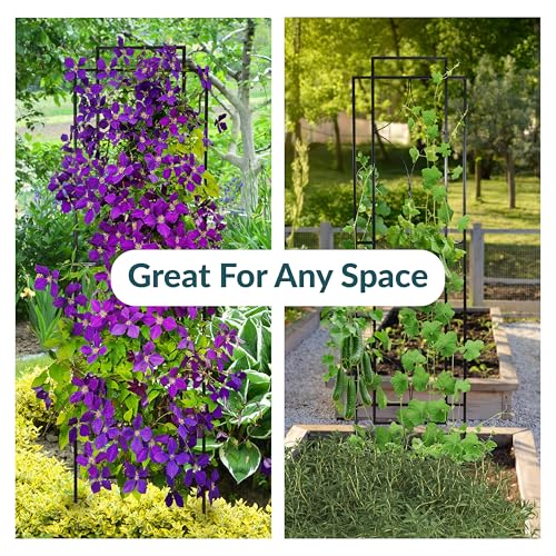 Sunnydaze 60" Black Metal Garden Trellis for Climbing Plants (Chic Diamonds - 60")