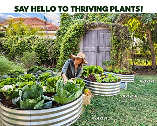 Galvanized Raised Garden Beds Outdoor