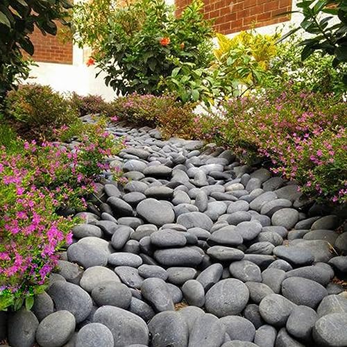 10 lbs Black Pebbles for Indoor Plant (160 Ounce)