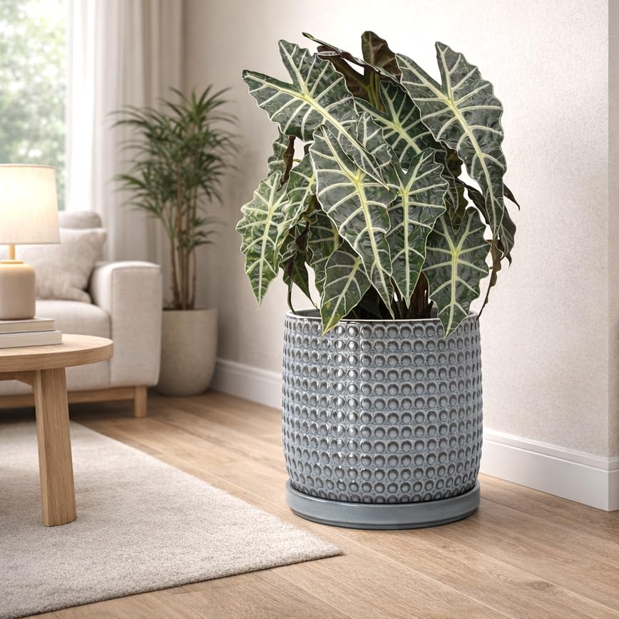 Beaded Ceramic Pot with Saucer (10.2 Inch / Graphite Blue)
