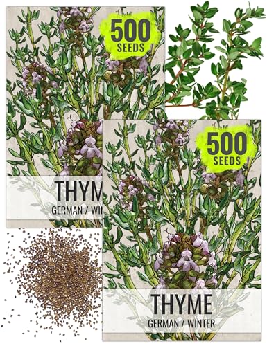Thyme Seeds to Plant Heirloom Non (2 Packs)