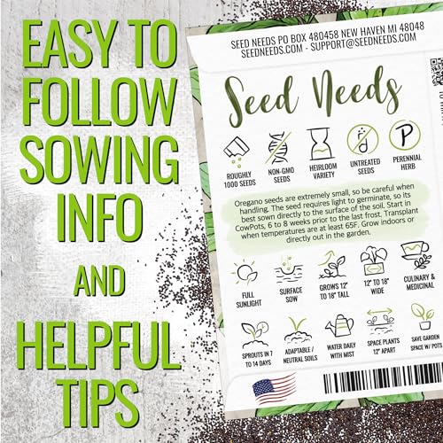 Italian Oregano Seeds to Plant Heirloom Non (2 Packs)