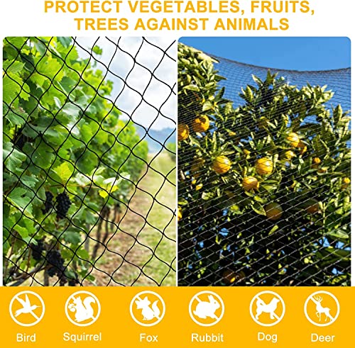 100'x100' Bird Netting for Chicken Coop (100'×100'-1'')