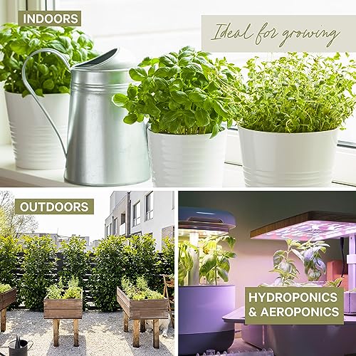 15 Certified Organic Herb Seeds Variety Pack (15 Count)