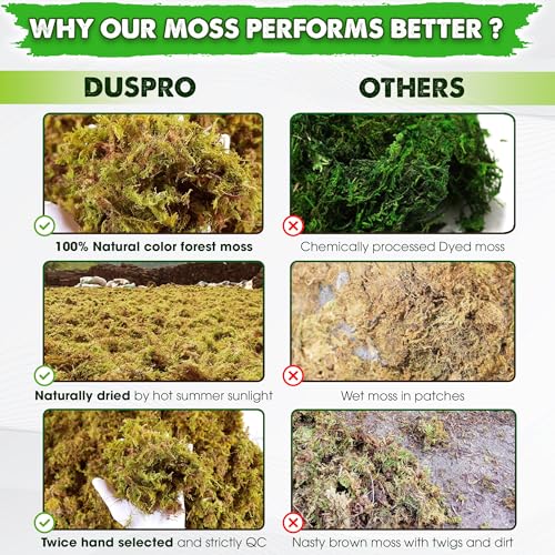 10 Oz Real Dried Forest Moss for Potted Plants (10 Fl Oz)