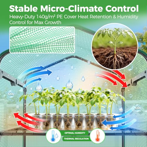 Mini Greenhouse for Indoor Outdoor (Green / 5 Tier Single Layer Roof)