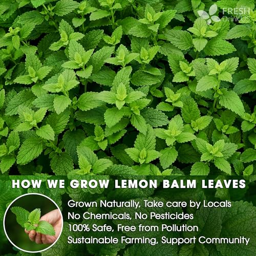 Lemon Balm Tea Bags (75 tea bags)