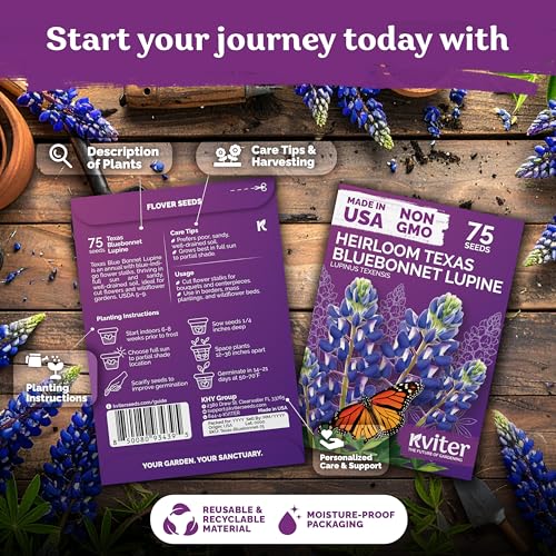75 Texas Bluebonnet Heirloom Flower Seeds for Planting