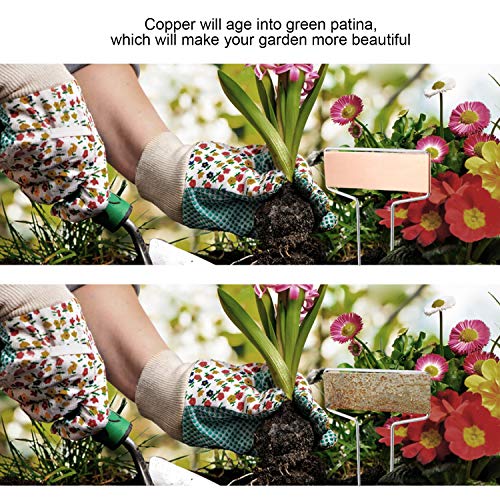 25PCS Copper Metal Plant Tags Plant Labels with 50Pcs Labels (25 Count)