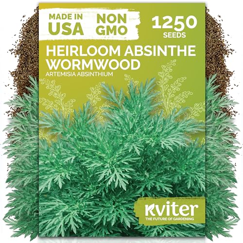 1 250 Wormwood Heirloom Herb Seeds for Planting