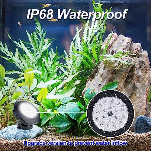 Solar Pond Lights (3 Light-Cool White)