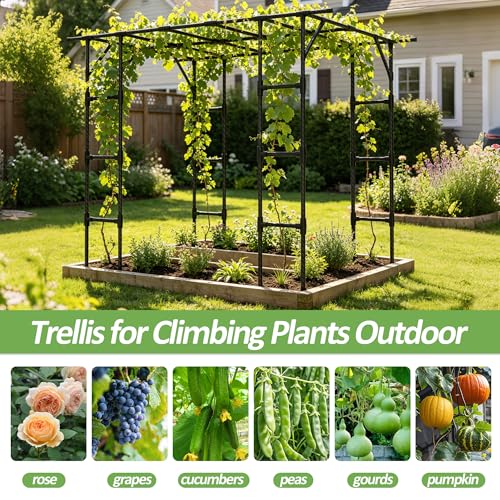 Grape Vine Trellis (95.7（L）*61.6(W)*78.5(H) in)