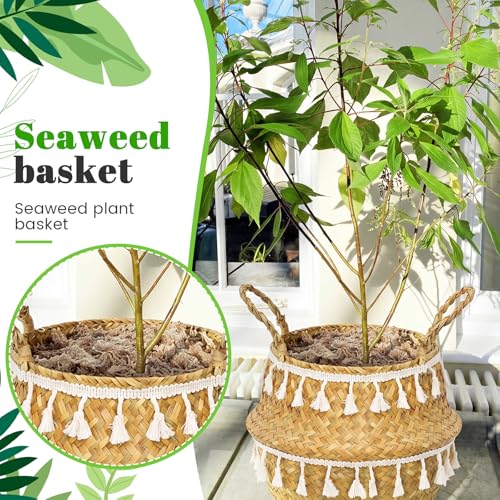 Large Wicker Plant Basket with Handle 10 Inch Woven Seagrass Belly Basket and Artificial Moss for House Plants Picnic Grocery Laundry Storage Home Decor (Large / Boho)