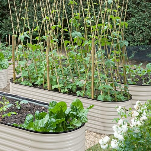 8x2x2ft Galvanized Raised Garden Bed (Ivory White / 8x2x2FT)