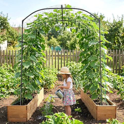 Garden Arch Trellis