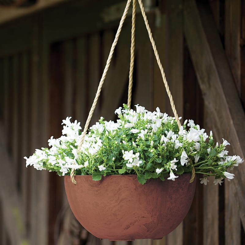 Self Watering Hanging Planter for Indoor or Outdoor Plants (Rust / 10")