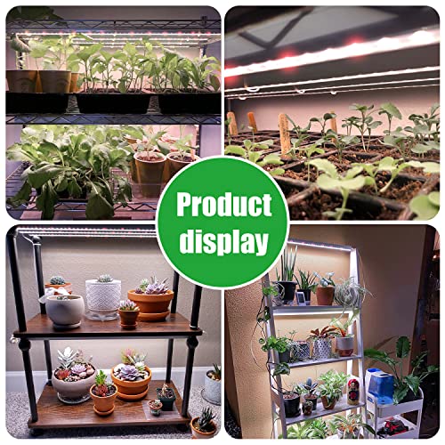 Grow Lights for Indoor Plants (White Cabel Red+White / 4 Head 1 Pack)