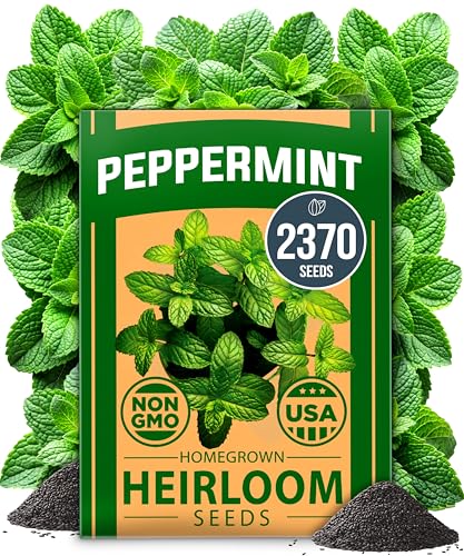 Peppermint Seeds