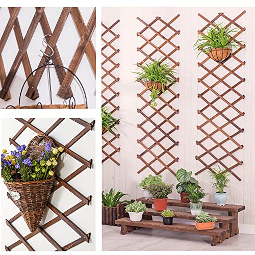 Wooden Lattice Wall