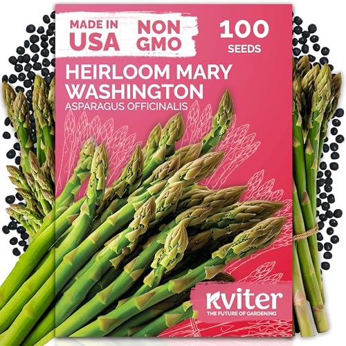 100 Mary Washington Asparagus Vegetable Seeds